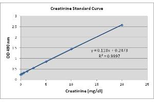 Creatinine Assay Standard Curve. (Urinary Creatinine Assay Kit)