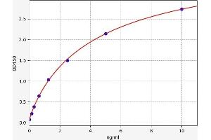 NR1I2 ELISA Kit