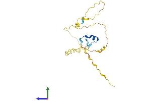 Protein Structure (PS) image for Proline Rich 3 (PRR3) (AA 1-188) protein (His tag) (ABIN7550996)