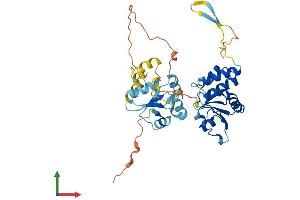 Protein Structure (PS) image for Dual Specificity Phosphatase 6 (DUSP6) (AA 1-381) protein (His tag) (ABIN7547279)