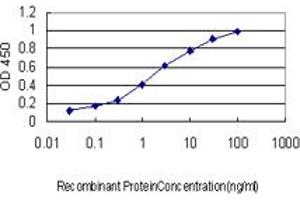 Detection limit for recombinant GST tagged FMR1 is approximately 0. (FMR1 antibody  (AA 121-220))