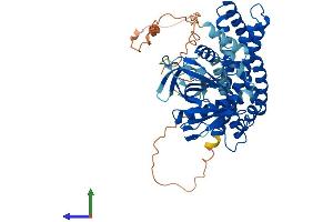AlphaFold protein structure predicition of Human Recombinant ARHGEF9 Protein, UniprotID O43307 (Arhgef9 Protein (AA 1-516) (His tag))