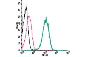 Cell surface detection of TMC1  by indirect flow cytometry in live intact human  monocytic leukemia cell line:  + goat-anti-rabbit-FITC.