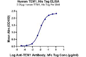 ELISA image for CD248 Molecule, Endosialin (CD248) (AA 18-687) protein (His tag) (ABIN7275687)