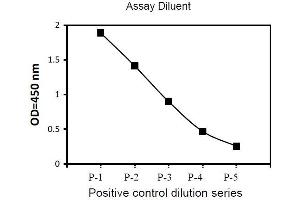 Image no. 2 for Receptor Tyrosine Kinase-Like Orphan Receptor 2 (ROR2) ELISA Kit (ABIN1981809) (ROR2 ELISA Kit)