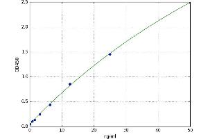 Fatty Acid Desaturase 2 (FADS2) ELISA Kit