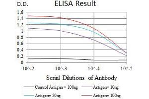 Black line: Control Antigen (100 ng), Purple line: Antigen(10 ng), Blue line: Antigen (50 ng), Red line: Antigen (100 ng), (EGFR Mutant (AA 693-893) antibody)