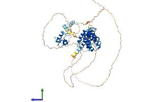 AlphaFold protein structure predicition of Human Recombinant TERF2 Protein, UniprotID Q15554 (TRF2 Protein (AA 1-542) (His tag))