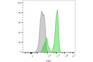 Flow cytometry analysis of lymphocyte-gated PBMCs unstained (gray) or stained with CF488A-labeled CD3 mouse monoclonal antibody (RIV9) (green)
