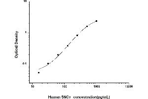 SNCA ELISA Kit