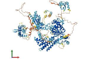 AlphaFold protein structure predicition of Human Recombinant SCAND3 Protein, UniprotID Q6R2W3 (SCAND3 Protein (AA 1-1325) (His tag))