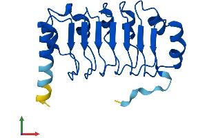 AlphaFold protein structure predicition of Human Recombinant LRRC20 Protein, UniprotID Q8TCA0