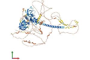 AlphaFold protein structure predicition of Human Recombinant MAP3K10 Protein, UniprotID Q02779 (MAP3K10 Protein (AA 1-954) (His tag))