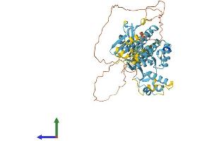 AlphaFold protein structure predicition of Human Recombinant NPRL3 Protein, UniprotID Q12980