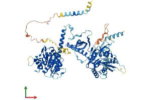 Protein Structure (PS) image for Chondroitin Polymerizing Factor 2 (CHPF2) (AA 1-772) protein (His tag) (ABIN7553371)