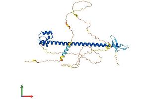 AlphaFold protein structure predicition of Human Recombinant NFE2 Protein, UniprotID Q16621 (NFE2 Protein (AA 1-373) (His tag))
