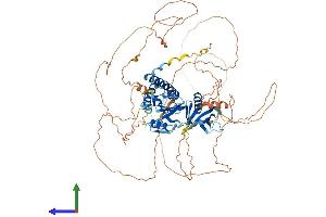 AlphaFold protein structure predicition of Mouse Recombinant Sh2b1 Protein, UniprotID Q91ZM2 (SH2B1 Protein (AA 1-756) (His tag))