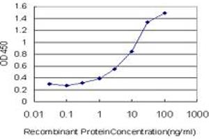 Detection limit for recombinant GST tagged CACNA1S is approximately 0. (CACNA1S antibody  (AA 1743-1838))