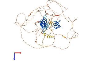 AlphaFold protein structure predicition of Mouse Recombinant Mapk8ip2 Protein, UniprotID Q9ERE9 (IB2 Protein (AA 1-830) (His tag))