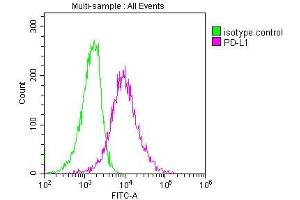 Overlay histogram showing A549 cells stained with ABIN7164674 (red line) at 1:150. (PD-L1 antibody  (AA 19-238))