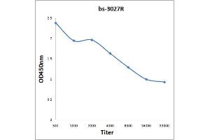 Antigen: 0. (PRKAB1 antibody  (pSer182))