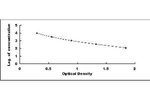 Typical standard curve (GLP-2 ELISA Kit)