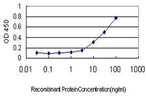 Detection limit for recombinant GST tagged IFRD2 is approximately 1ng/ml as a capture antibody. (IFRD2 antibody  (AA 1-442))