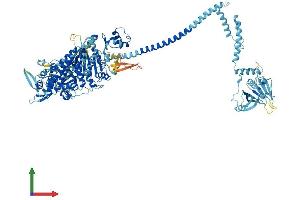 Protein Structure (PS) image for Myosin IC (MYO1C) (AA 1-1063) protein (His tag) (ABIN7565200)