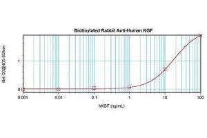 Image no. 1 for anti-Fibroblast Growth Factor 7 (FGF7) antibody (Biotin) (ABIN464856) (FGF7 antibody  (Biotin))