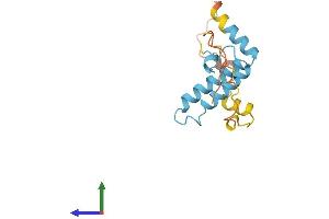 AlphaFold protein structure predicition of Human Recombinant DNAJB3 Protein, UniprotID Q8WWF6