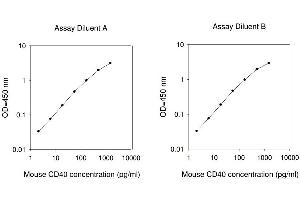 ELISA image for CD40 (CD40) ELISA Kit (ABIN625116) (CD40 ELISA Kit)