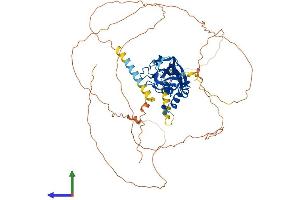 Protein Structure (PS) image for T-Box 18 (TBX18) (AA 1-613) protein (His tag) (ABIN7561388)