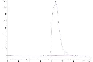 The purity of Mouse CD9P1 Protein is greater than 95 % as determined by SEC-HPLC. (PTGFRN Protein (AA 22-832) (His tag))