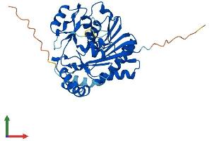 Protein Structure (PS) image for NOP2/Sun Domain Family, Member 3 (NSUN3) (AA 1-348) protein (His tag) (ABIN7559252)