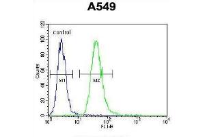 Flow Cytometry (FACS) image for anti-Tumor Necrosis Factor Receptor Superfamily, Member 1A (TNFRSF1A) (AA 259-288) antibody (ABIN951179)