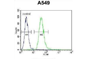 TNFR-S274 Antibody flow cytometric analysis of A549 cells (right histogram) compared to a negative control cell (left histogram). (TNFRSF1A antibody  (AA 259-288))