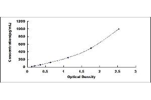 Typical standard curve (CCL17 ELISA Kit)