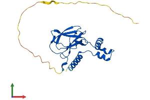 AlphaFold protein structure predicition of Human Recombinant VHL Protein, UniprotID P40337