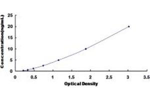 Typical standard curve (PLIN4 ELISA Kit)