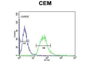 Flow Cytometry (FACS) image for anti-Carbonic Anhydrase VI (CA6) antibody (ABIN3004317)