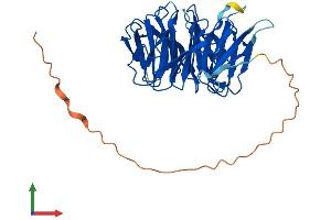 Protein Structure (PS) image for WD Repeat Domain 31 (WDR31) (AA 1-367) protein (His tag) (ABIN7545126)