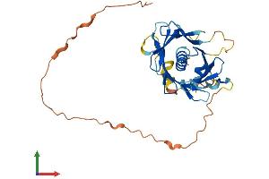 Protein Structure (PS) image for Phospholipid Scramblase 2 (PLSCR2) (AA 1-297) protein (His tag) (ABIN7550855)
