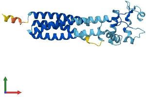 AlphaFold protein structure predicition of Human Recombinant UPK1A Protein, UniprotID O00322