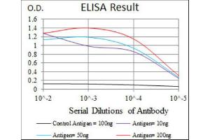 ELISA image for anti-Hyaluronan Synthase 3 (HAS3) antibody (ABIN1845758) (HAS3 antibody)