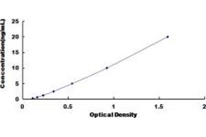 Typical standard curve (COL12A1 ELISA Kit)