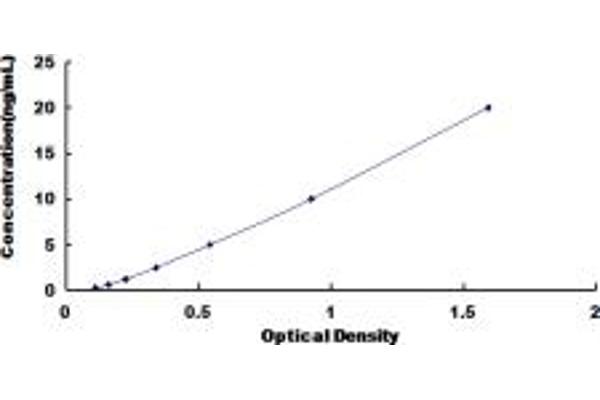 COL12A1 ELISA Kit