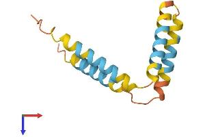 AlphaFold protein structure predicition of Human Recombinant TMEM14C Protein, UniprotID Q9P0S9 (Transmembrane Protein 14C (TMEM14C) (AA 1-112) protein (His tag))