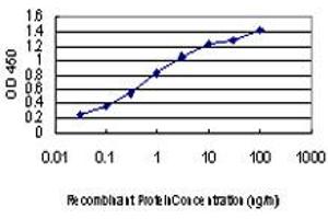 Detection limit for recombinant GST tagged TTN is approximately 0. (Titin antibody  (AA 1-110))