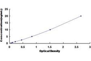 Typical standard curve (IQGAP1 ELISA Kit)