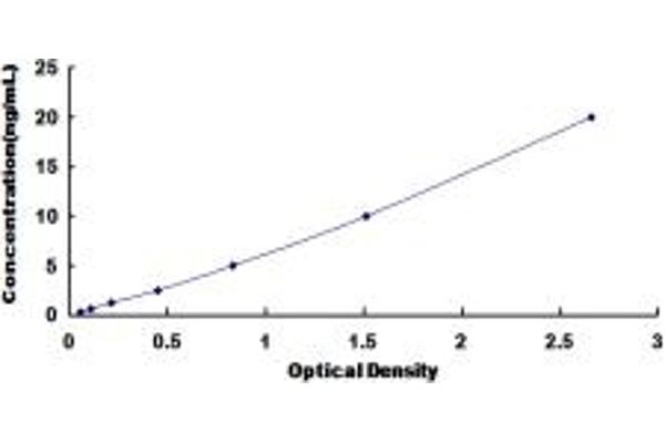 IQGAP1 ELISA Kit